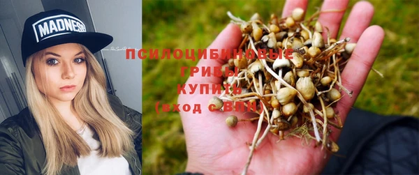 первитин Армянск